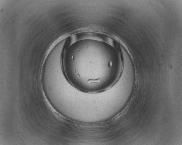 X0000082711434200702091736