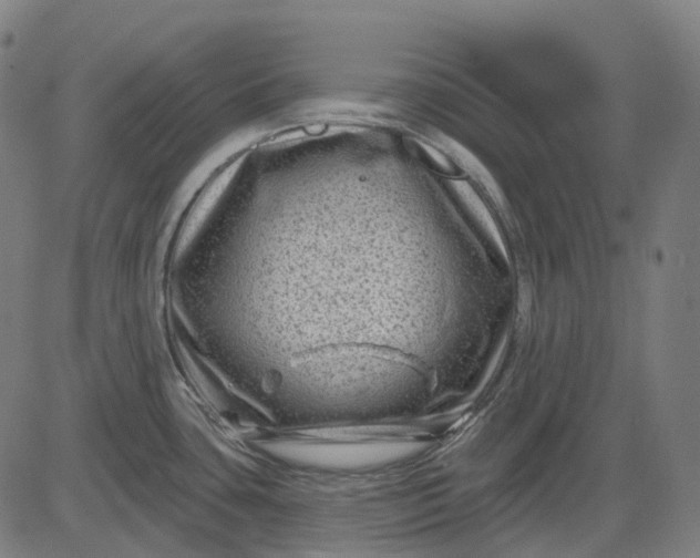 X0000082711435200702091736