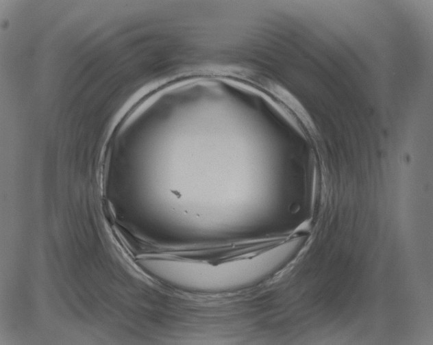 X0000082711436200702091736