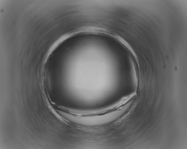 X0000082711437200702091736