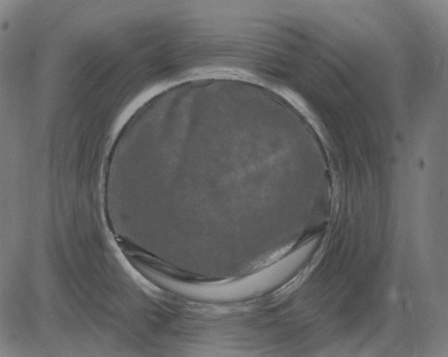 X0000082711438200702091736