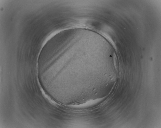 X0000082711439200702091736