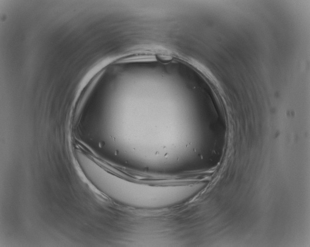 X0000082711440200702091736