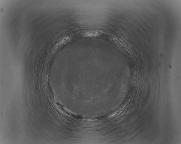 X0000082711441200702091736