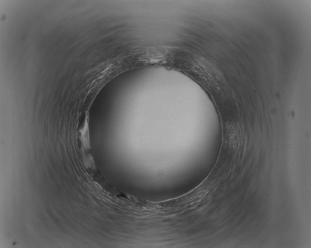 X0000082711442200702091736