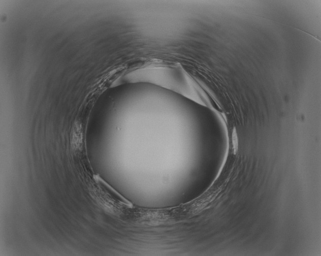 X0000082711443200702091736