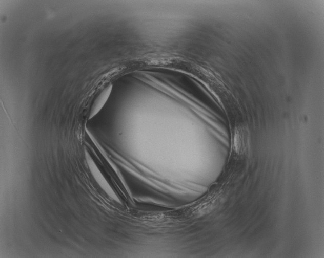 X0000082711444200702091736