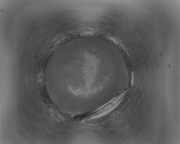 X0000082711445200702091736