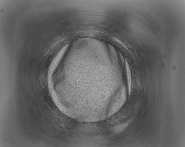 X0000082711446200702091736