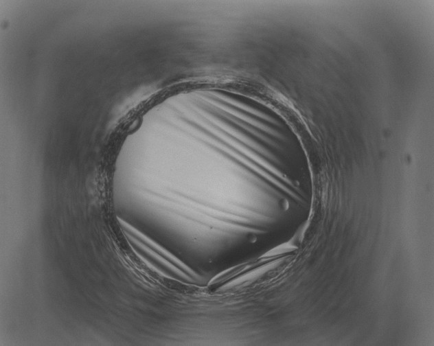 X0000082711448200702091735