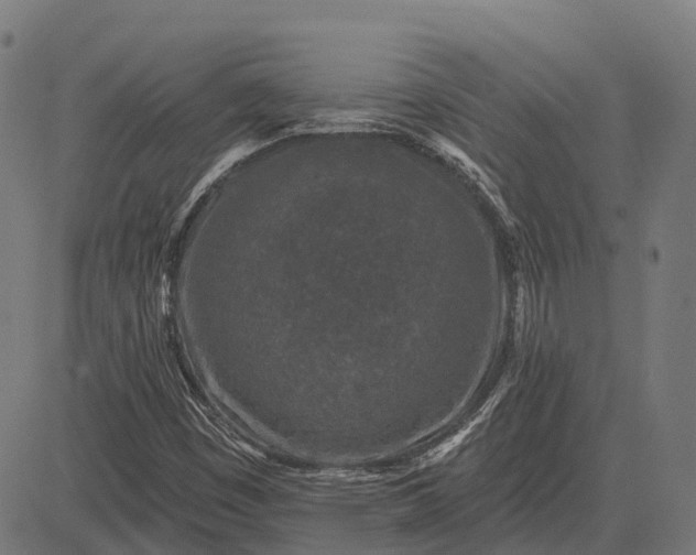 X0000082711449200702091735