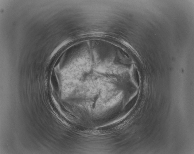 X0000082711450200702091735