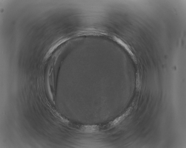 X0000082711453200702091735