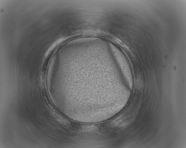 X0000082711454200702091735