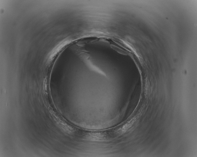 X0000082711455200702091735