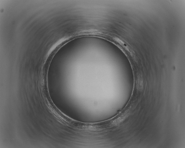 X0000082711458200702091735