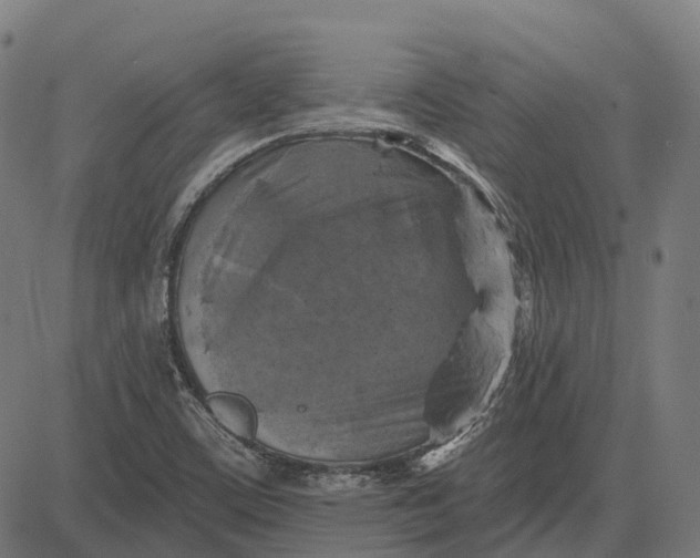 X0000082711459200702091735