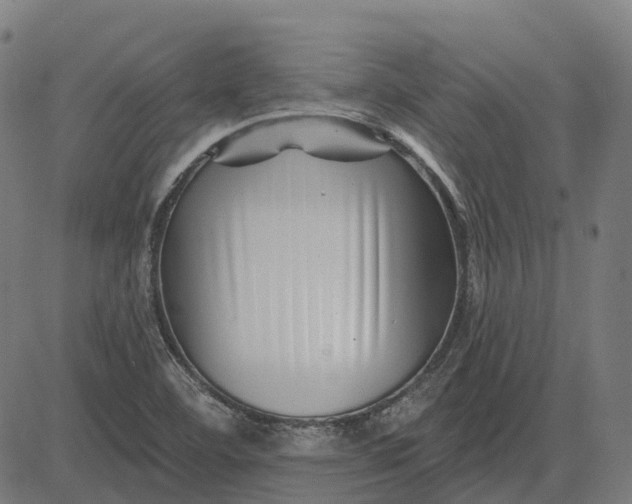 X0000082711460200702091735