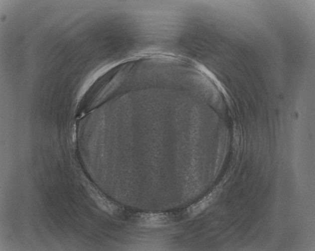 X0000082711461200702091735