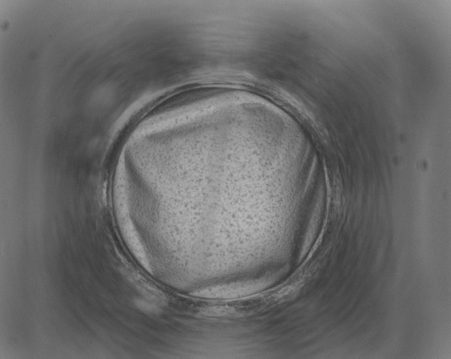 X0000082711462200702091735