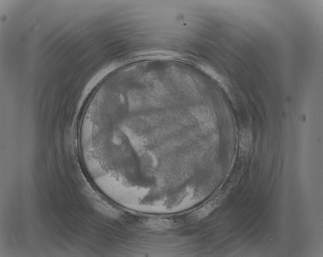 X0000082711466200702091735