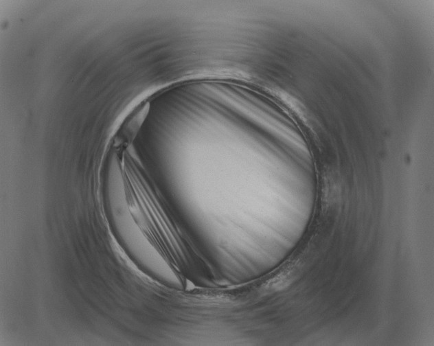 X0000082711468200702091735