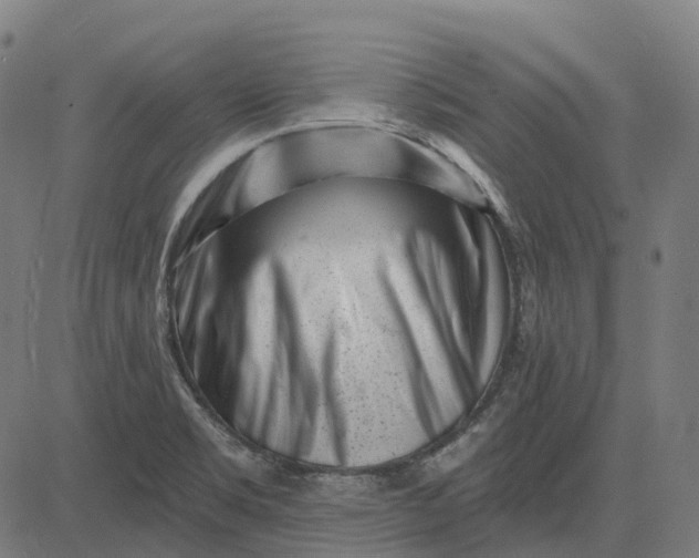 X0000082711469200702091735