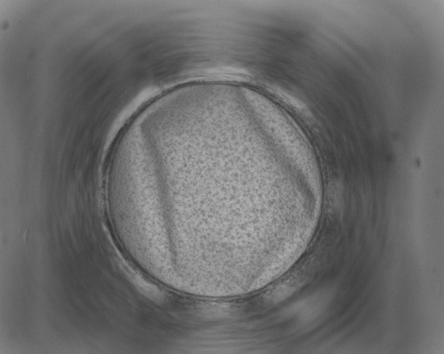 X0000082711470200702091735