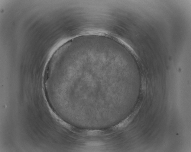 X0000082711471200702091735