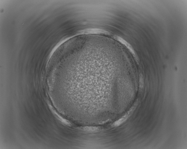 X0000082711473200702091735