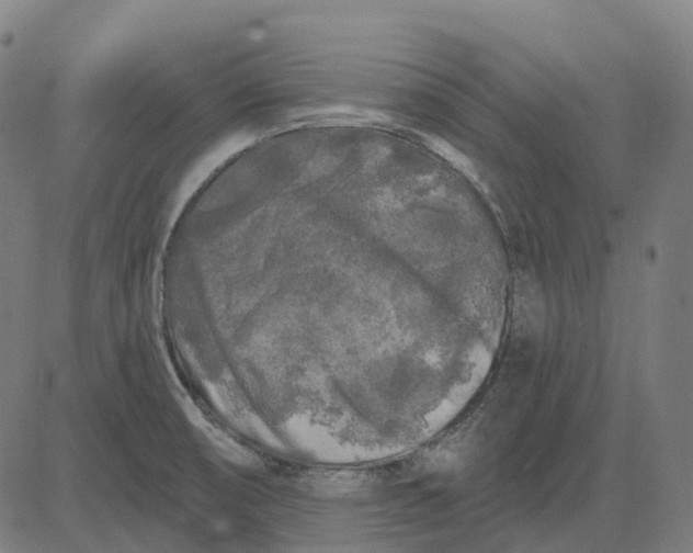 X0000082711474200702091735