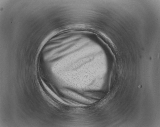 X0000082711475200702091735