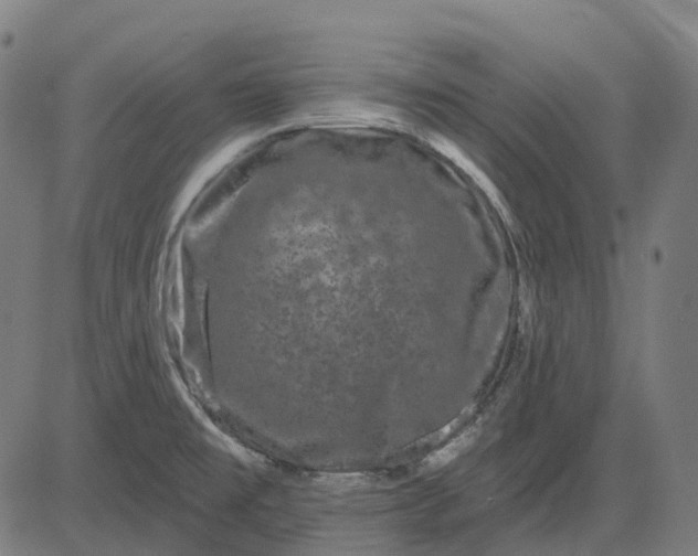 X0000082711477200702091735