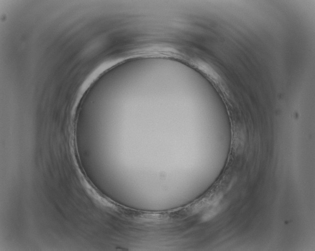 X0000082711478200702091735