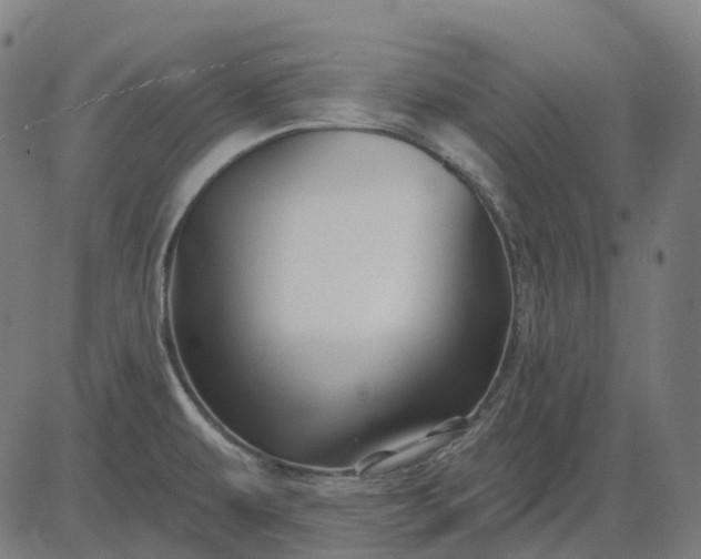 X0000082711479200702091735