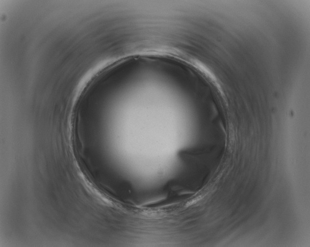 X0000082711480200702091735