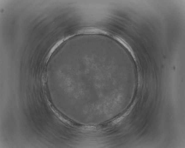 X0000082711481200702091735