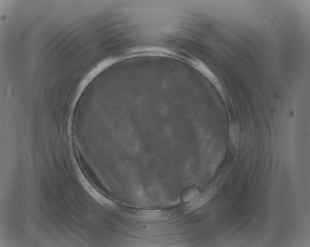 X0000082711482200702091735