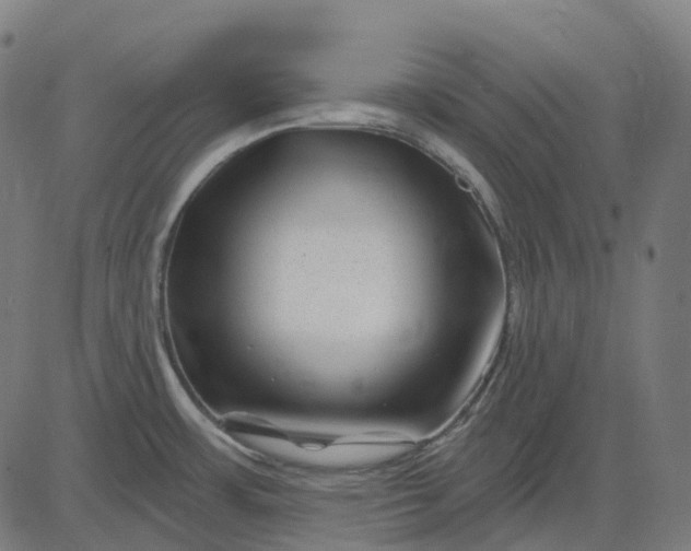 X0000082711483200702091735