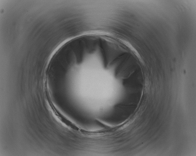 X0000082711484200702091735