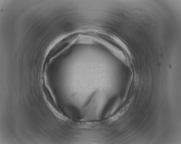 X0000082711485200702091735