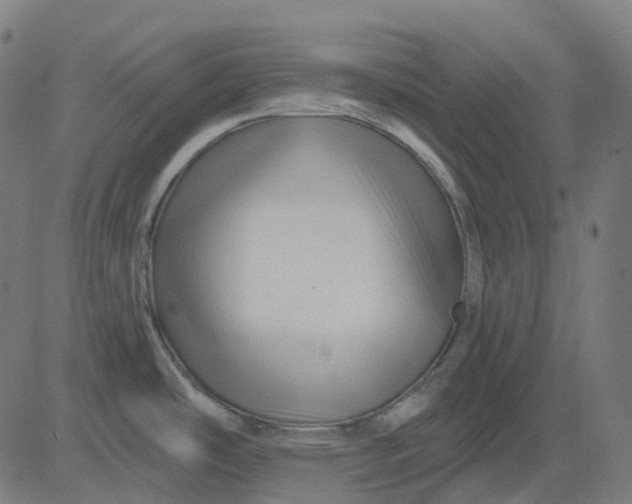 X0000082711486200702091735