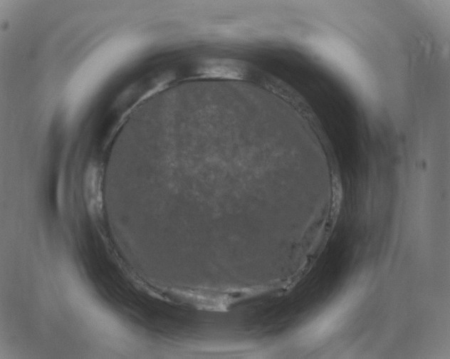 X0000082711487200702091735