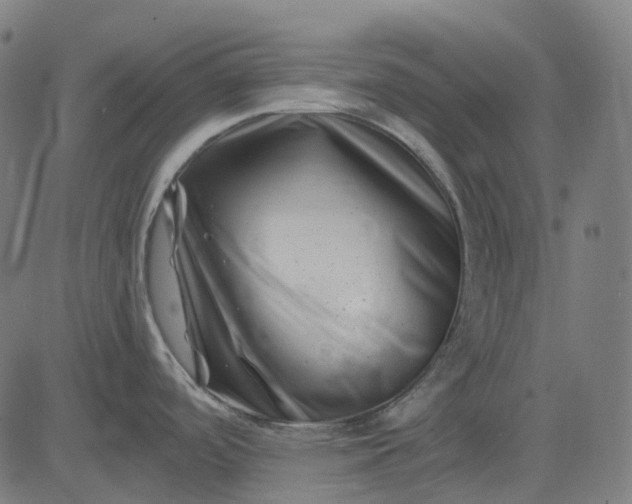 X0000082711488200702091735