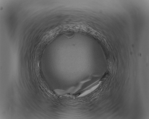 X0000082711489200702091734