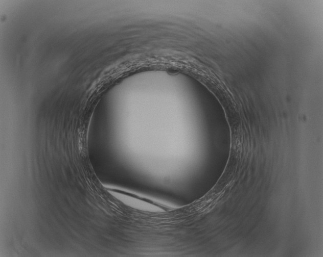 X0000082711490200702091734