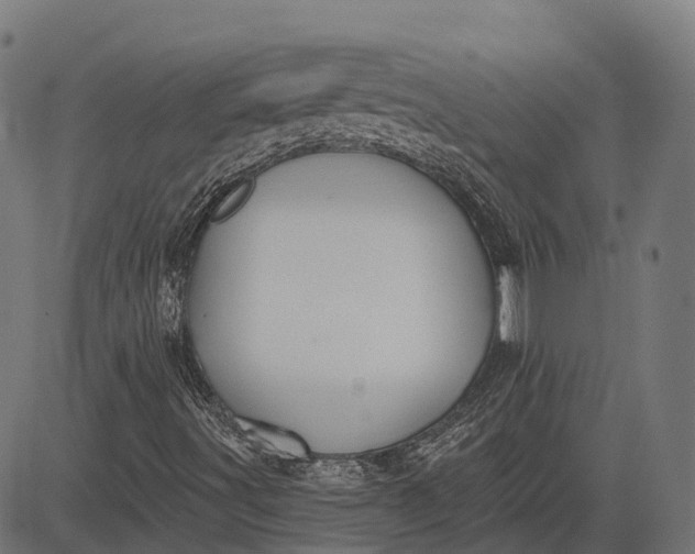 X0000082711491200702091734