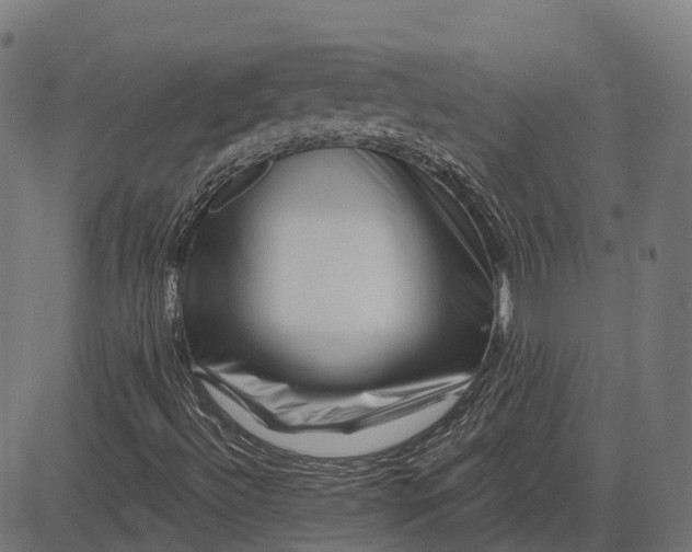 X0000082711492200702091734