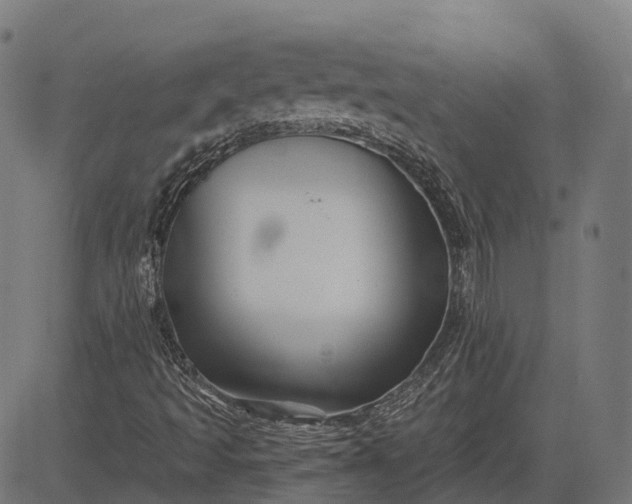 X0000082711493200702091734