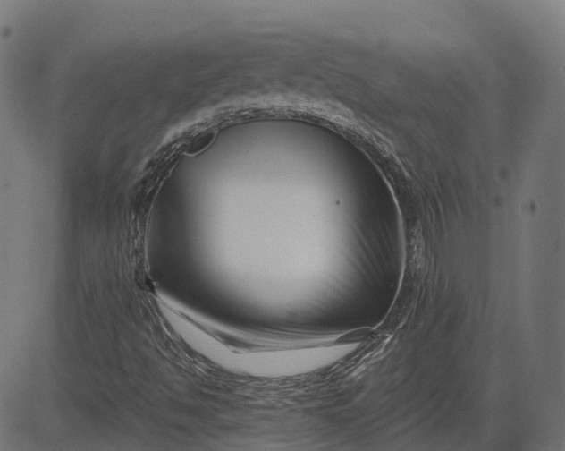 X0000082711494200702091734